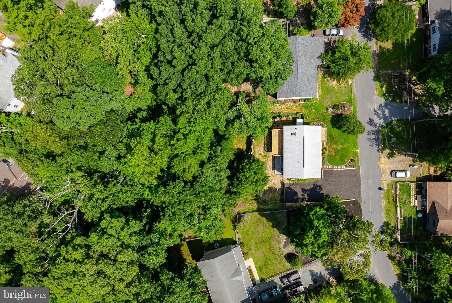 11511 Ventura Trail photo 4