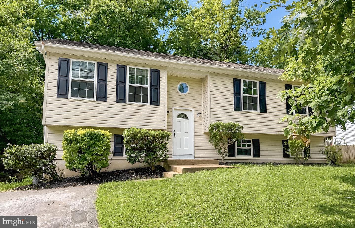 673 Running Fox Road photo 2