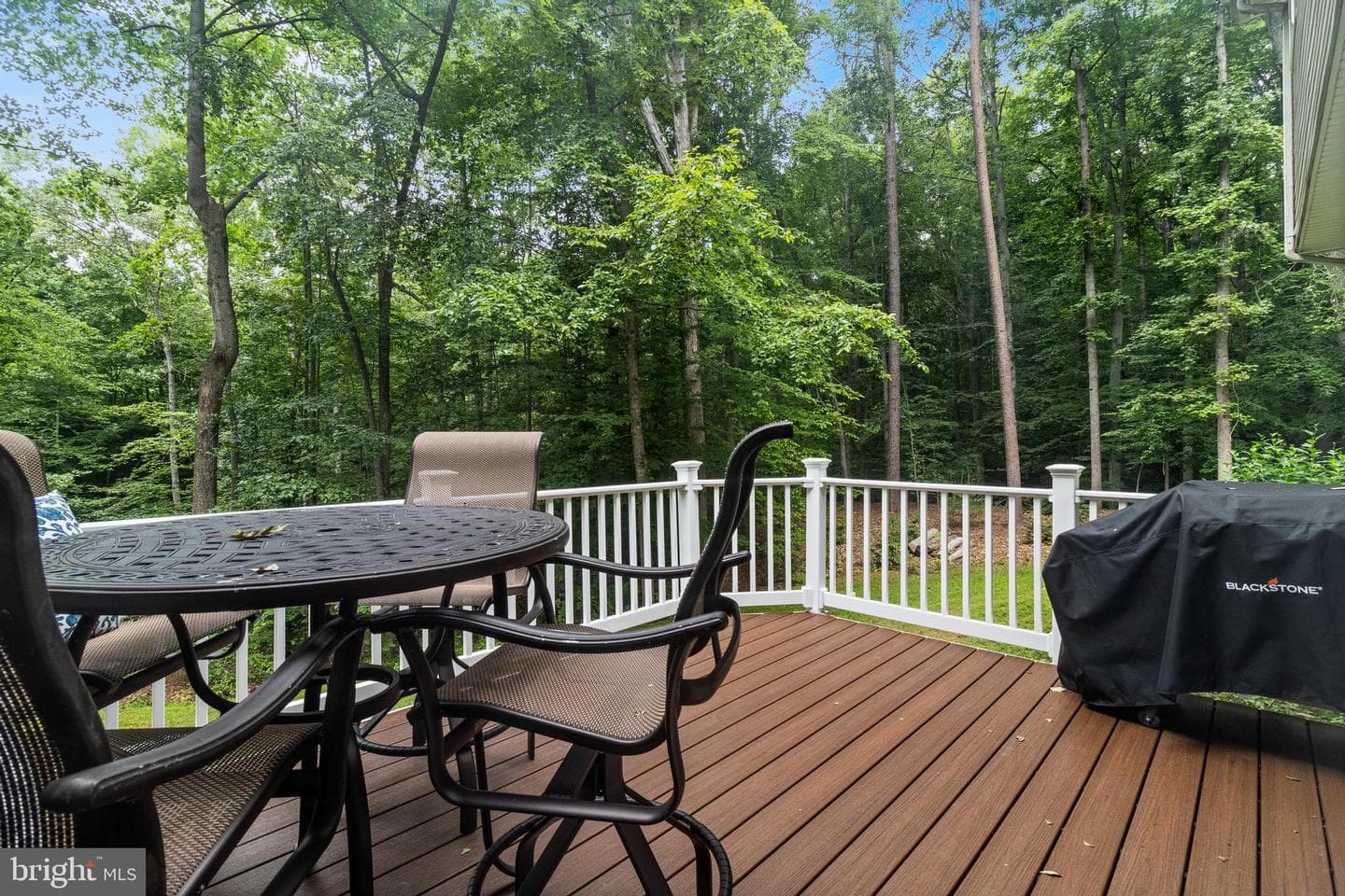 2810 Lady Annes Way photo 31