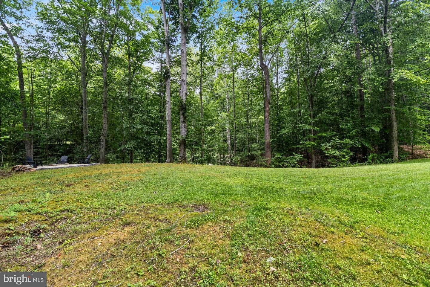 2810 Lady Annes Way photo 34