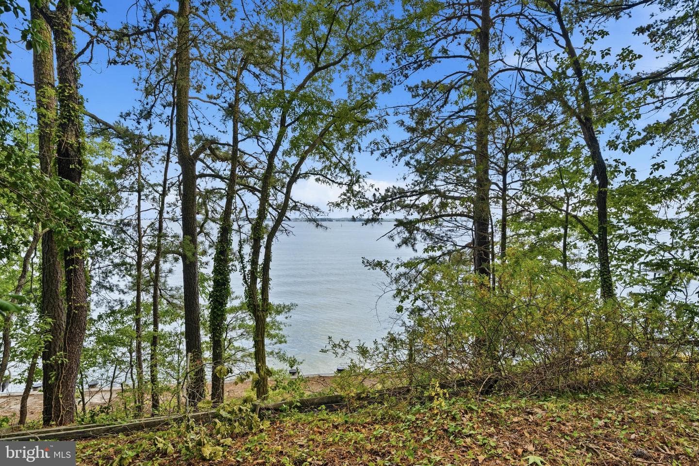 13181 River View Drive photo 40
