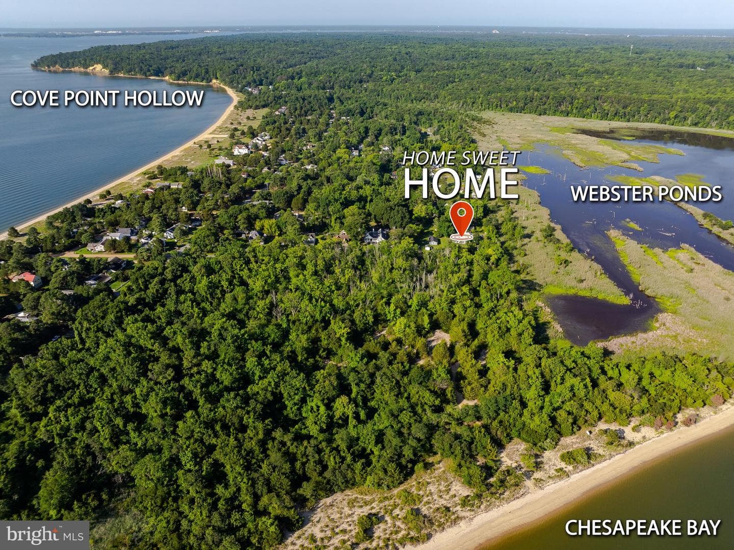 10951 Poplar Drive photo 31
