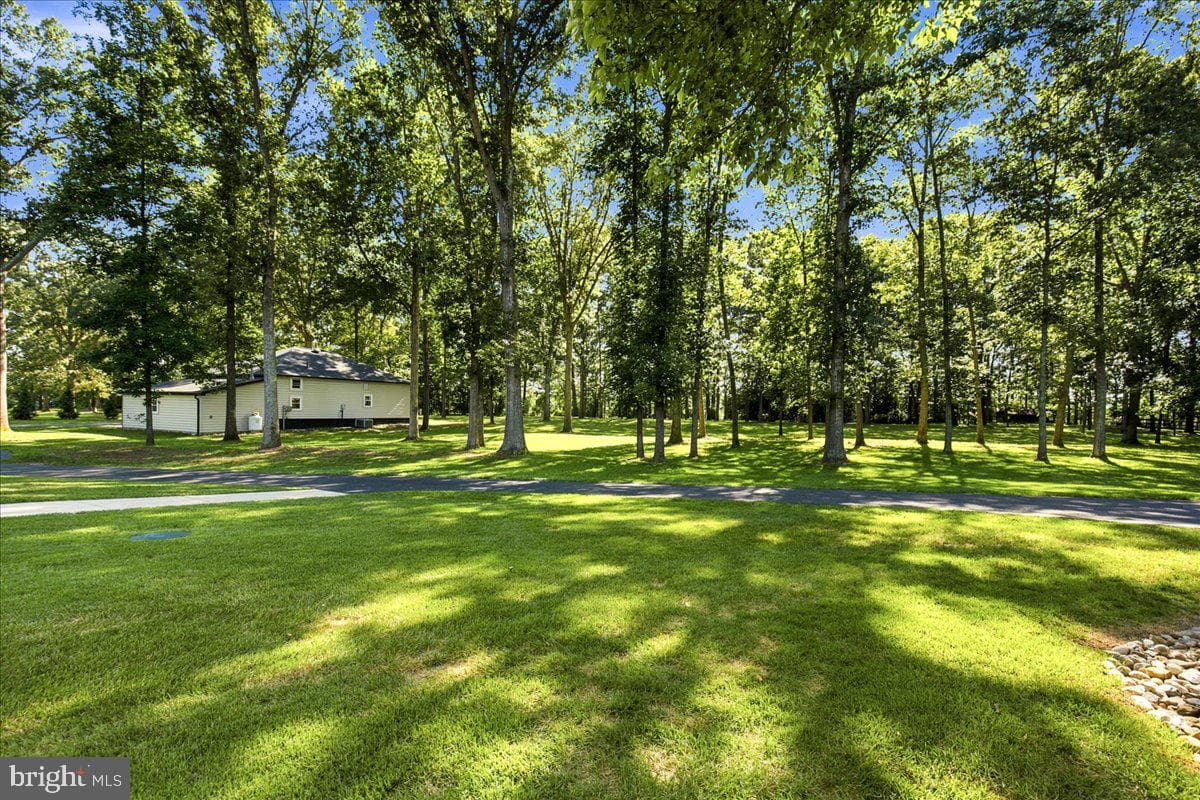 7785 Swan Lane photo 9
