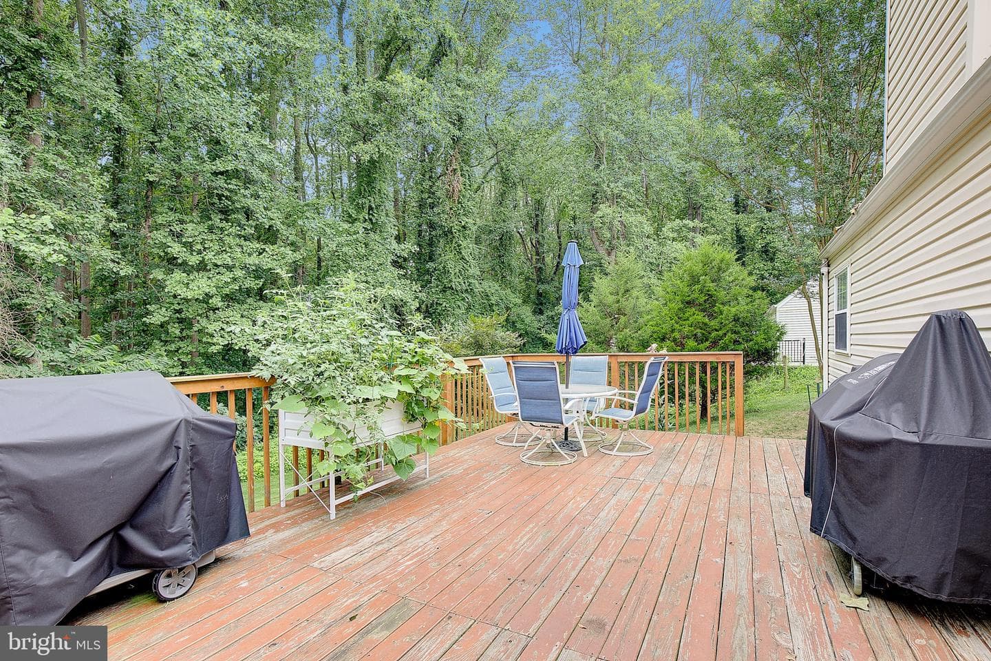 4305 Cassell Boulevard photo 35