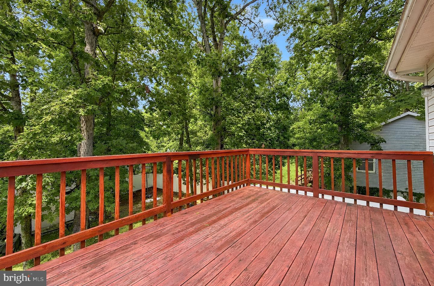 11422 Rawhide Road photo 46