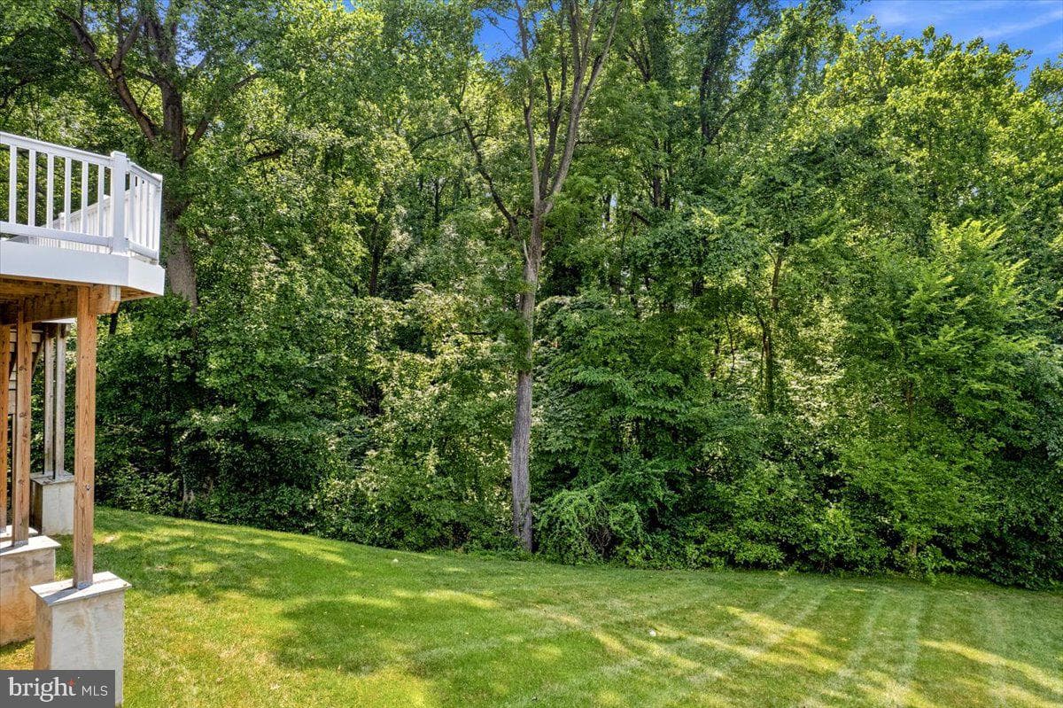 3640 Estelle Court photo 59