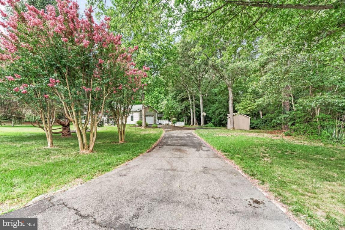 5031 Timber View photo 5