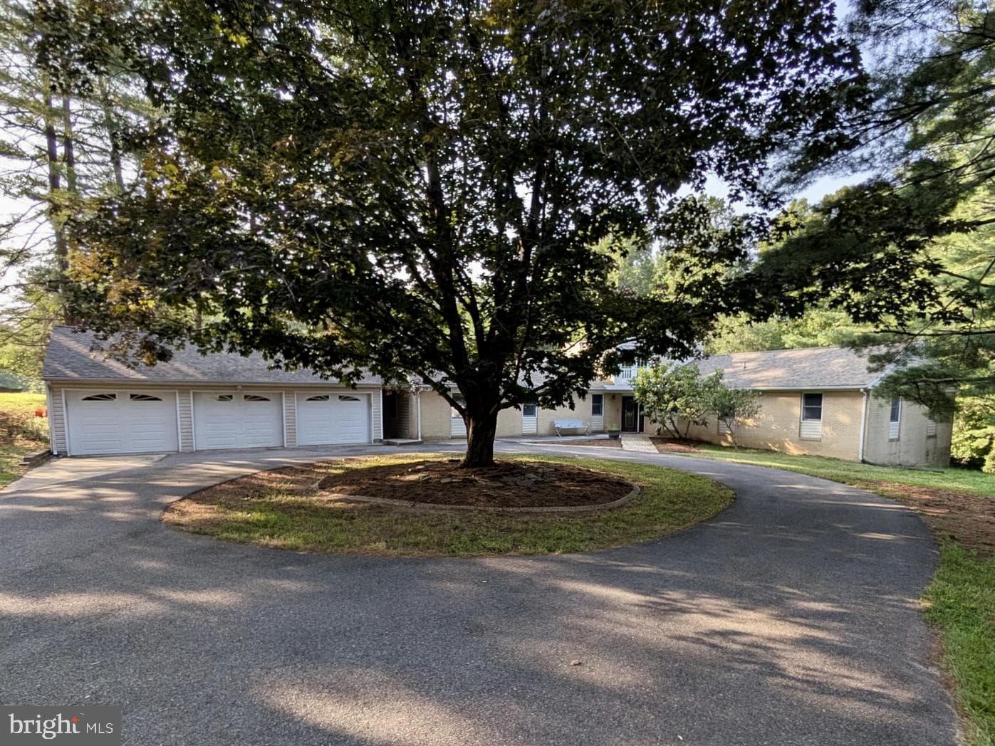 2531 Redbud Lane photo 2