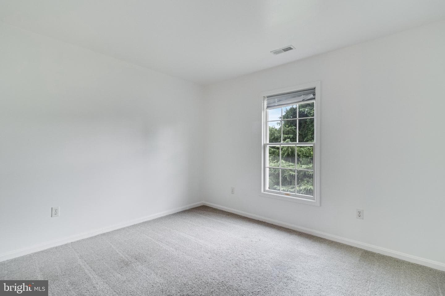 4525 Terri Lane photo 37