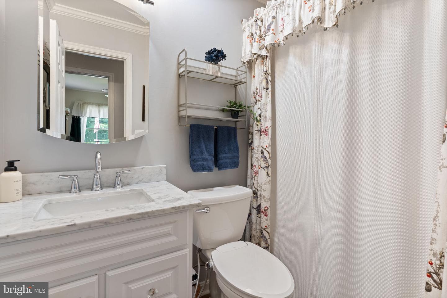 704 Alamo Lane photo 12
