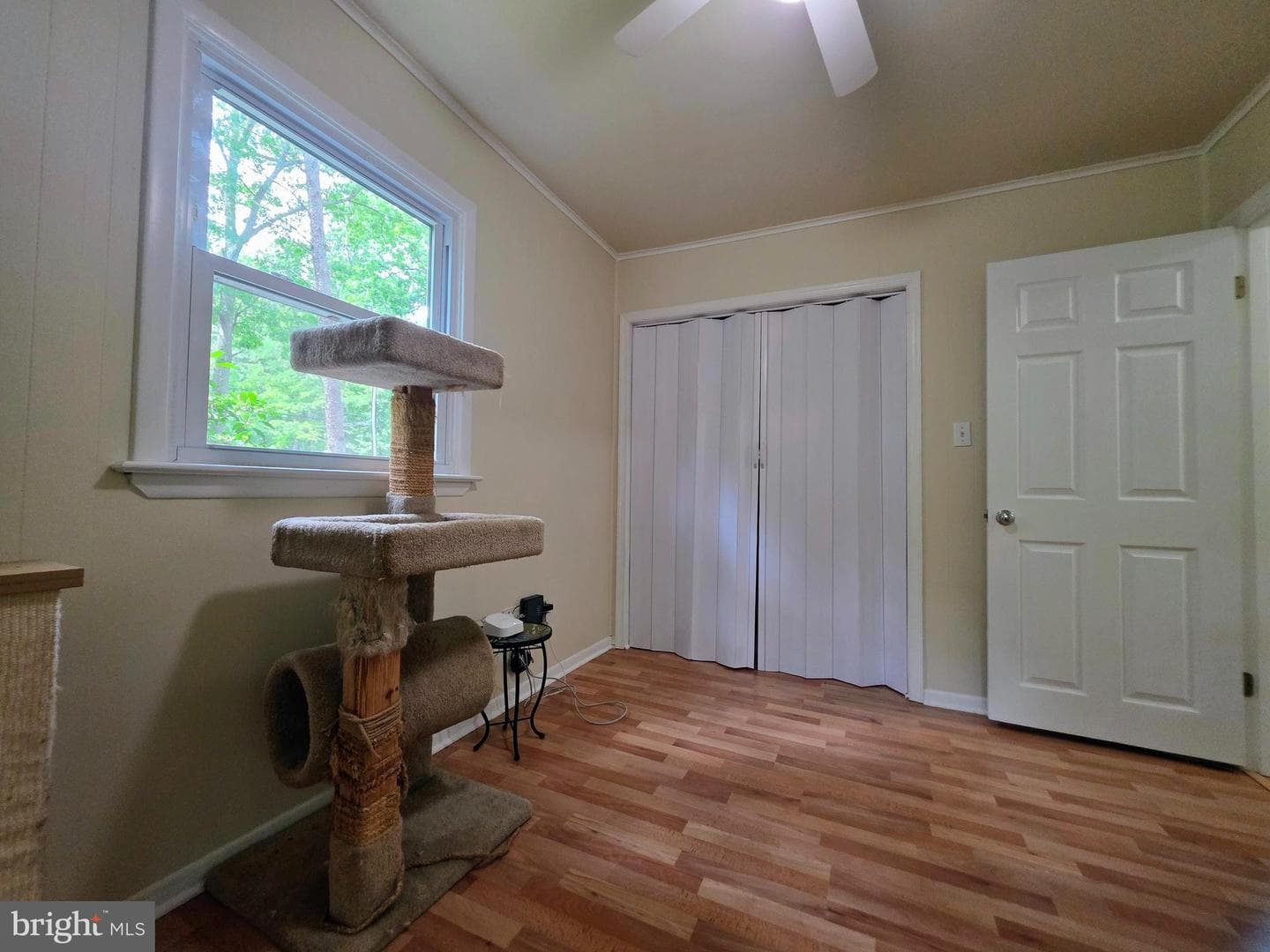 12414 Ridge Road photo 20