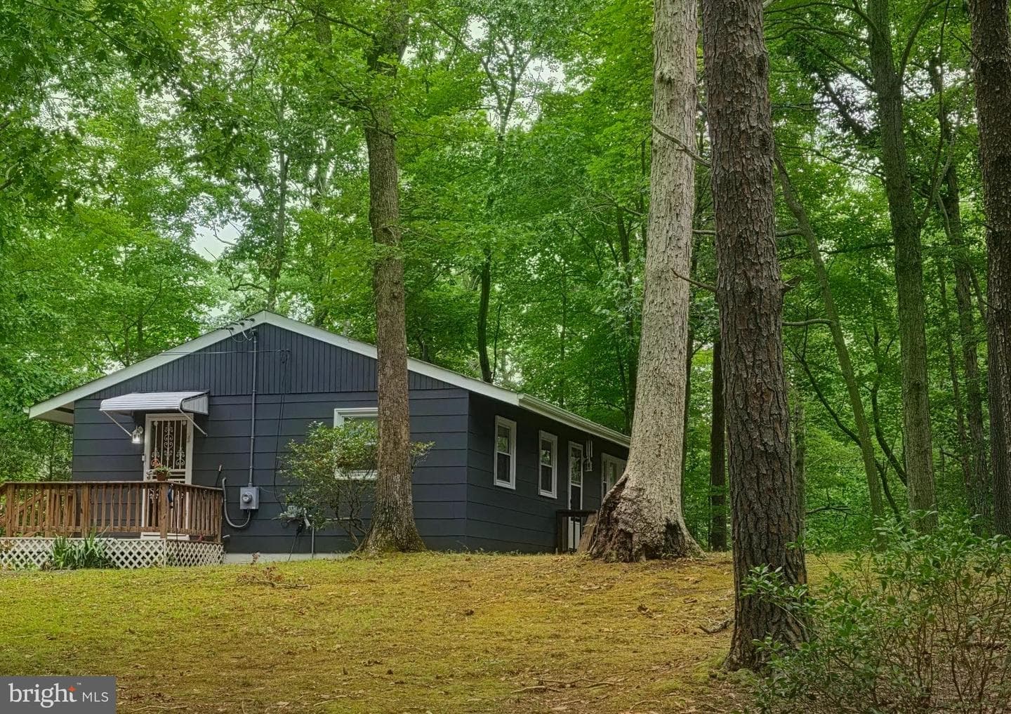 12414 Ridge Road photo 5