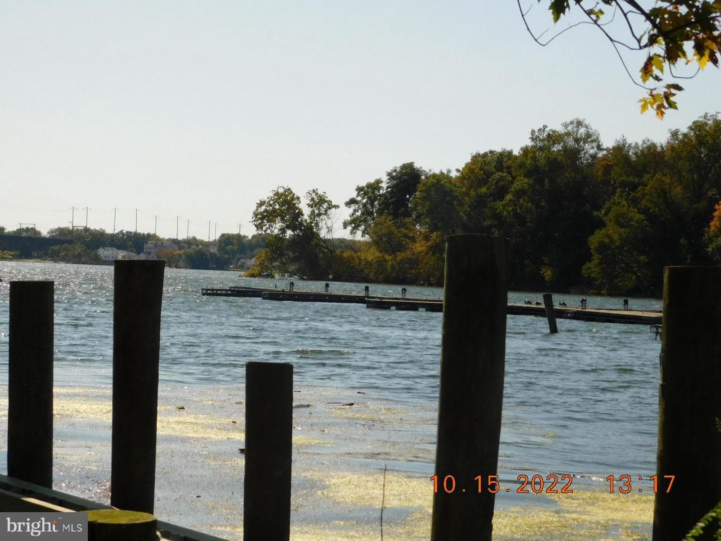 41 River Road photo 8