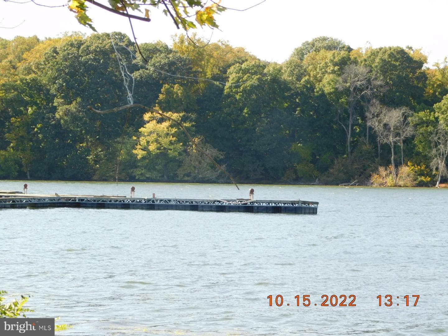 41 River Road photo 9