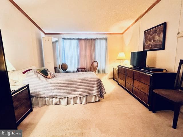 6 Raven Court photo 16