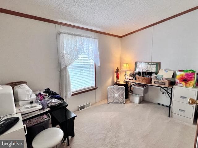 6 Raven Court photo 20