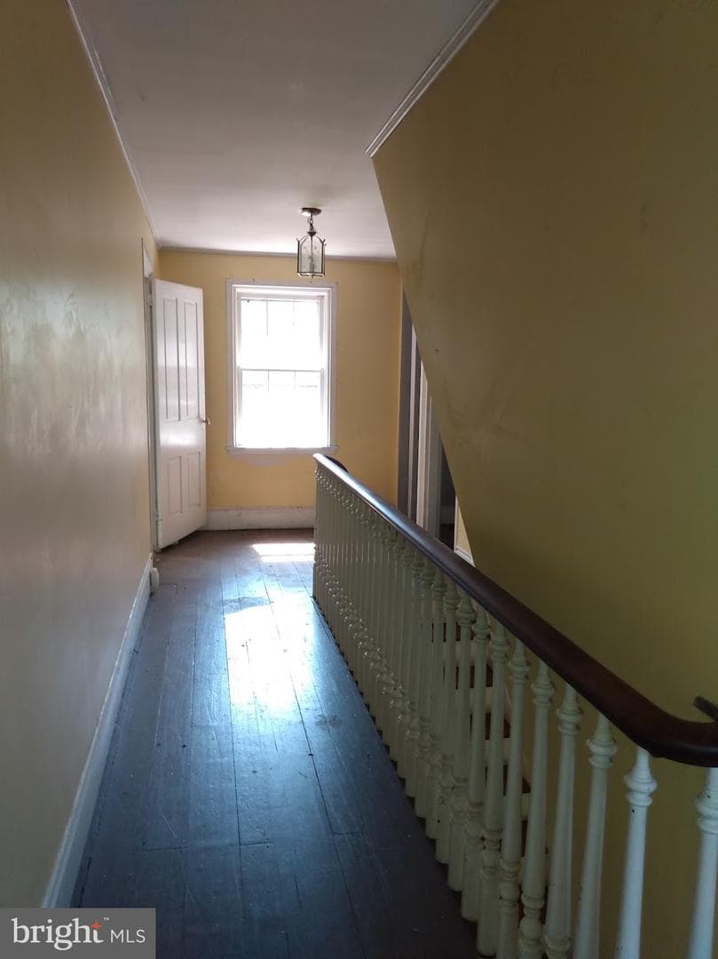 61 Dune Drive photo 35