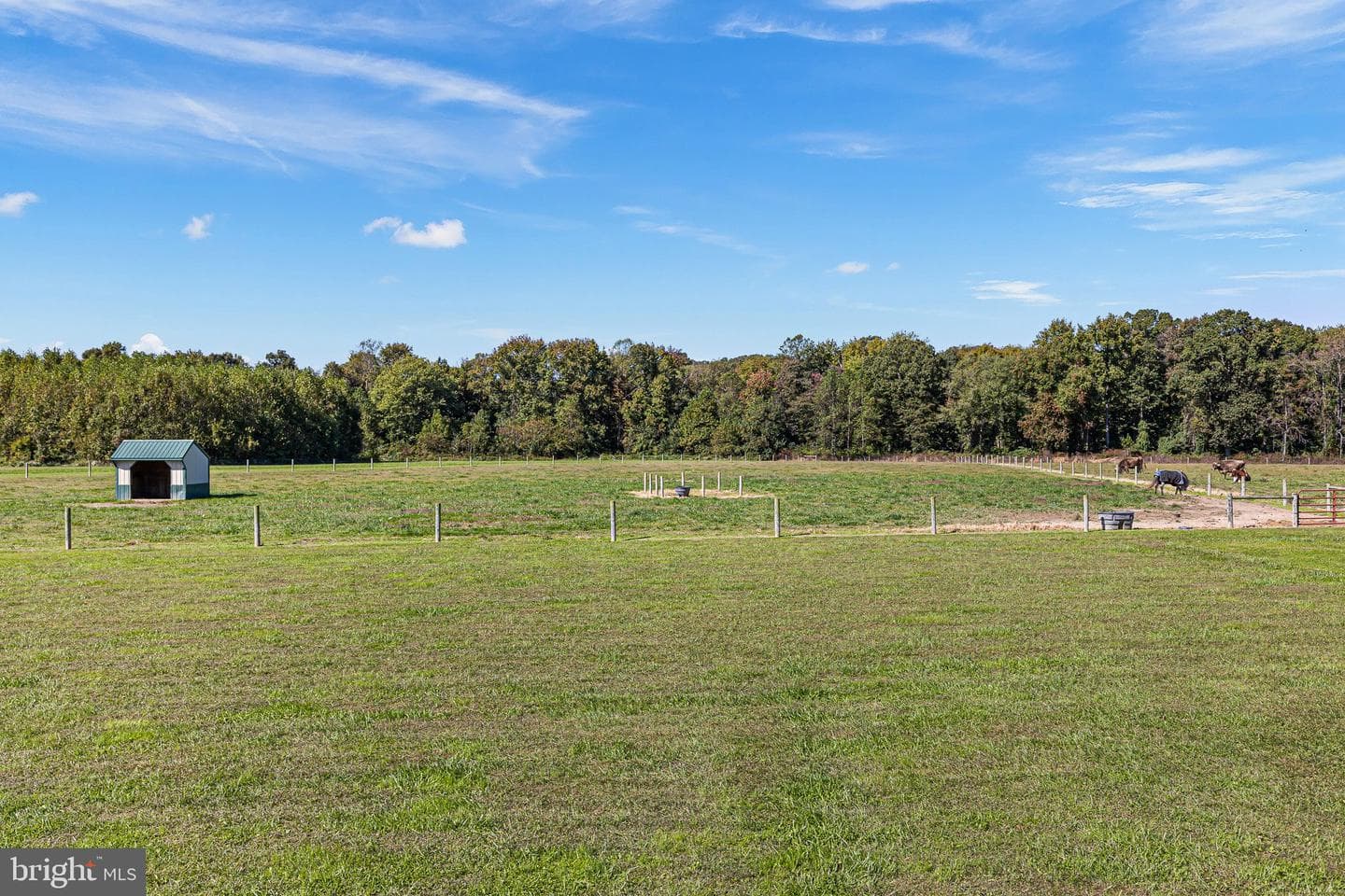 279 Joe Meltz Road photo 45