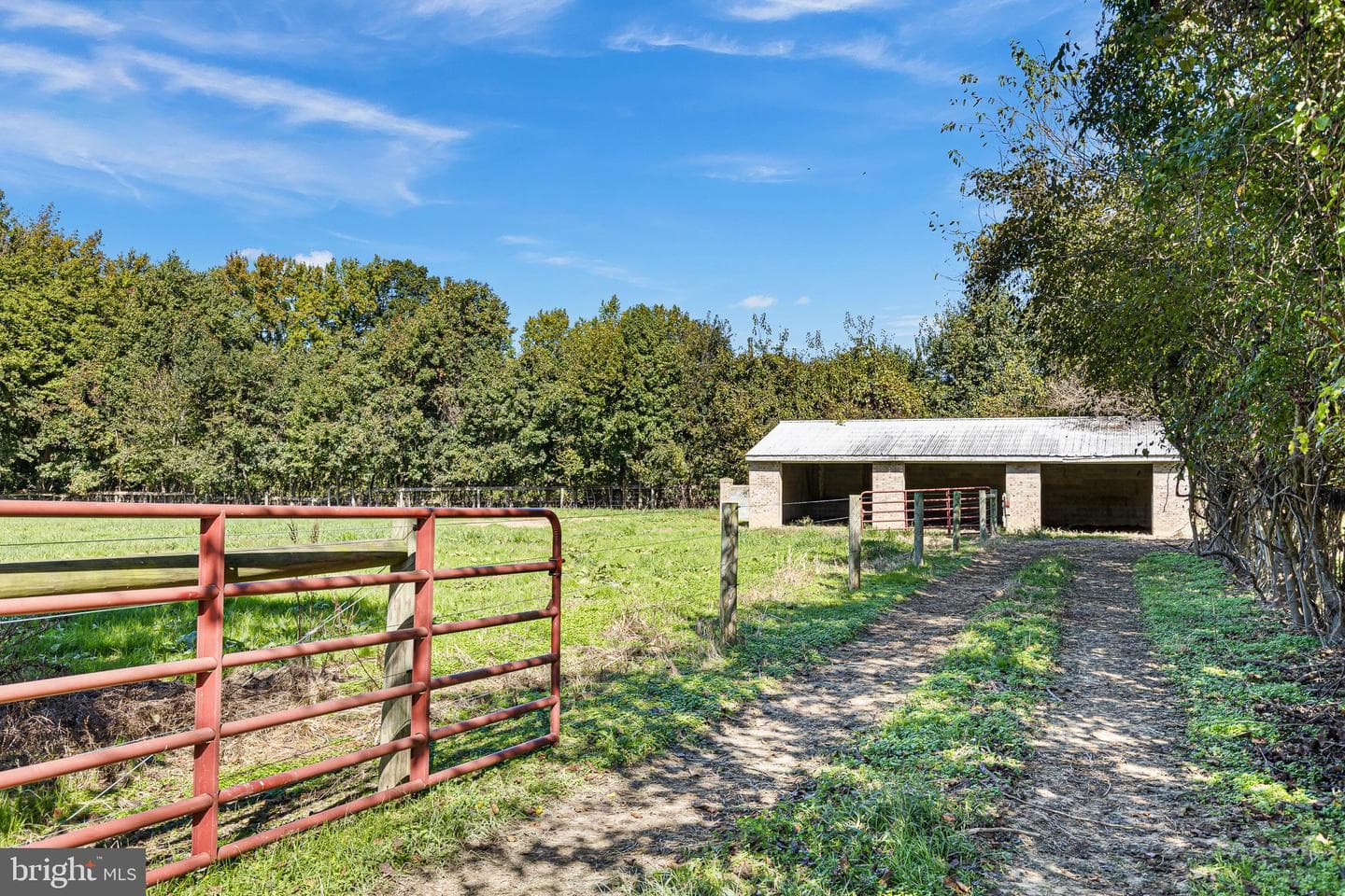 279 Joe Meltz Road photo 46