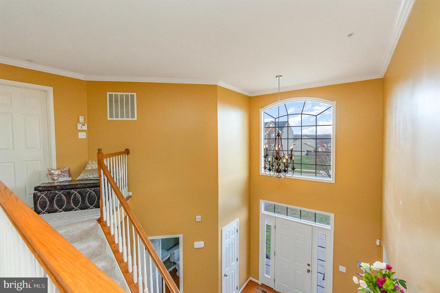 204 Magnolia Drive photo 18