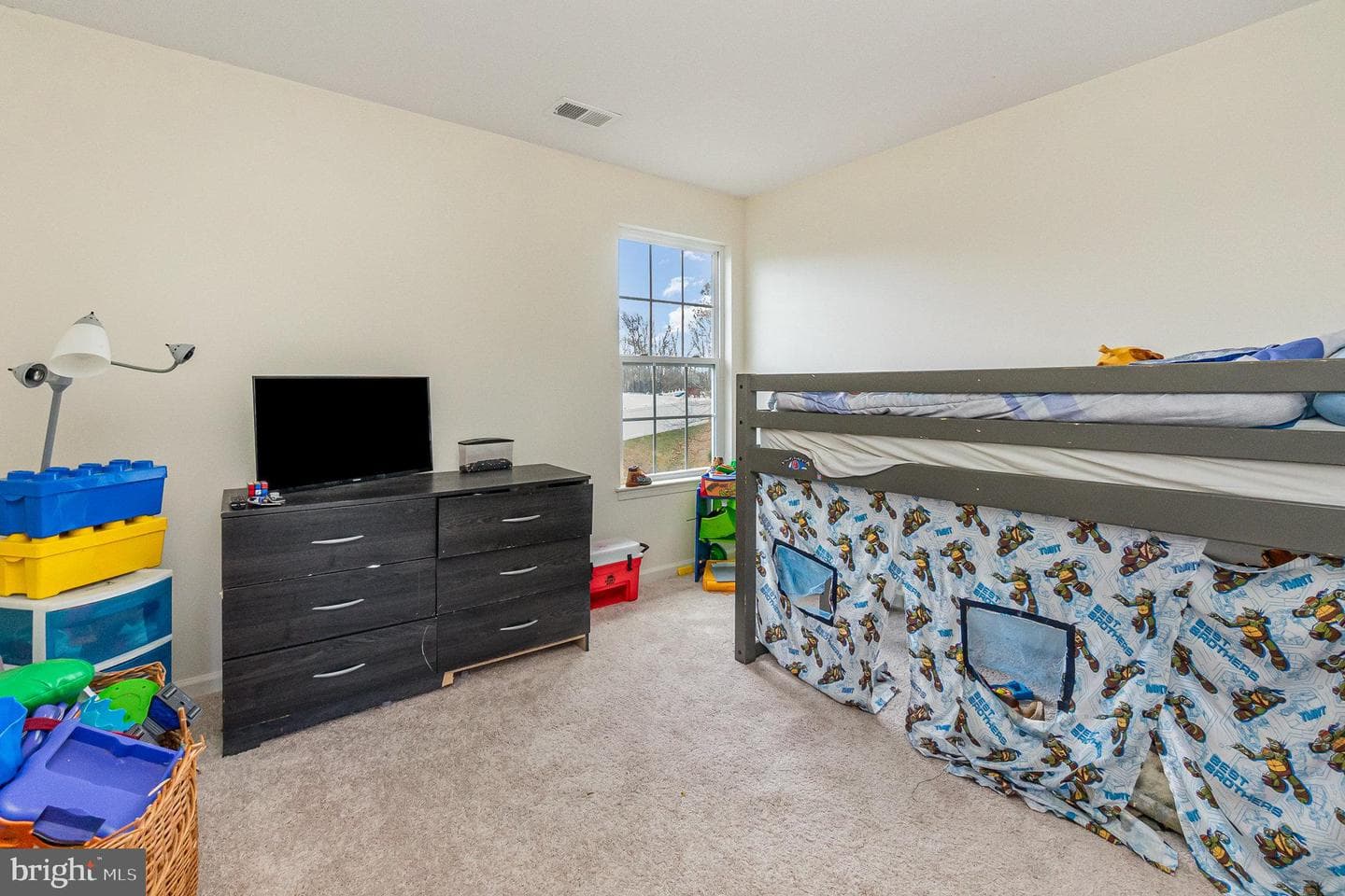 204 Magnolia Drive photo 27