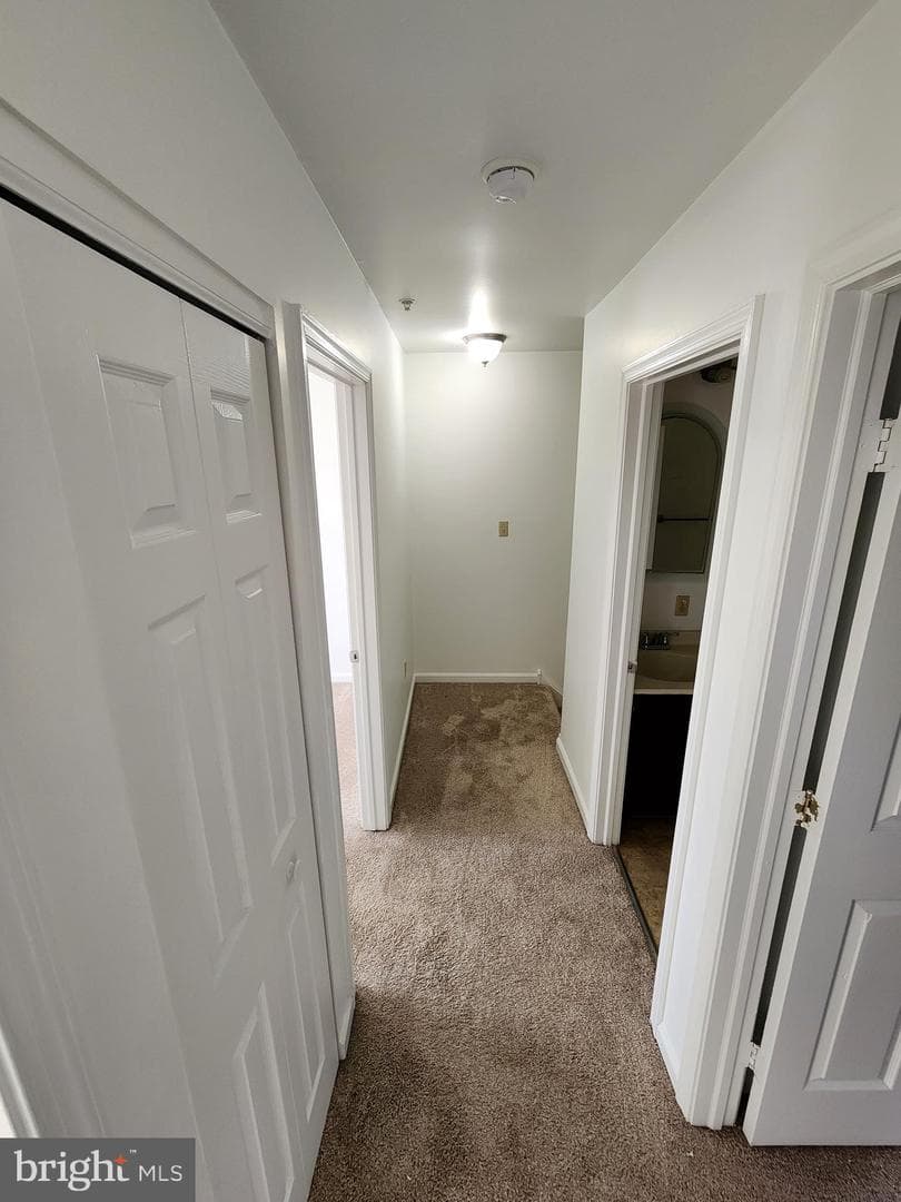 4 Russell Street photo 9