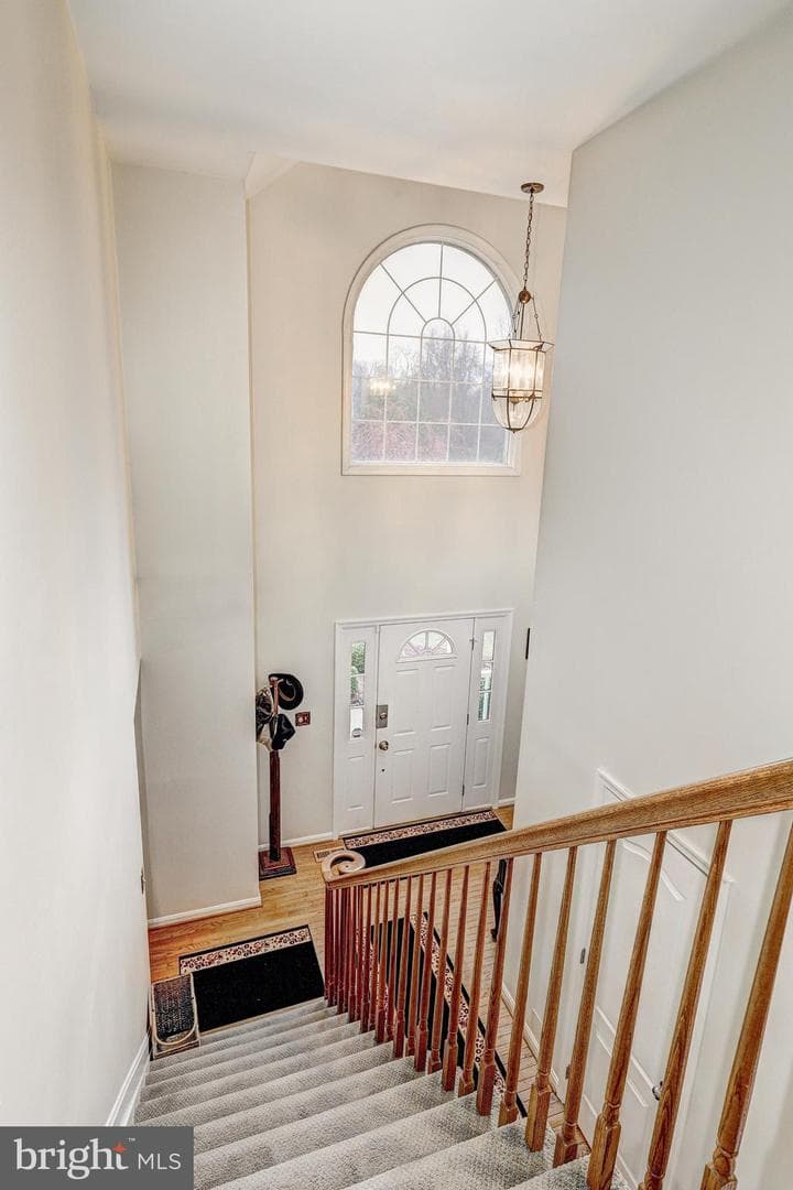 42 Arthur Avenue photo 30