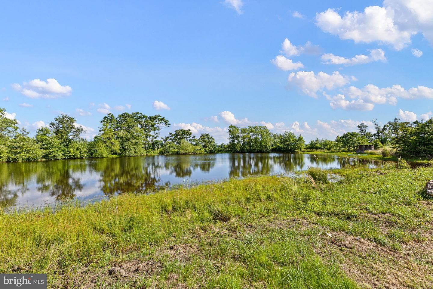 500 Piney Creek Lane photo 6