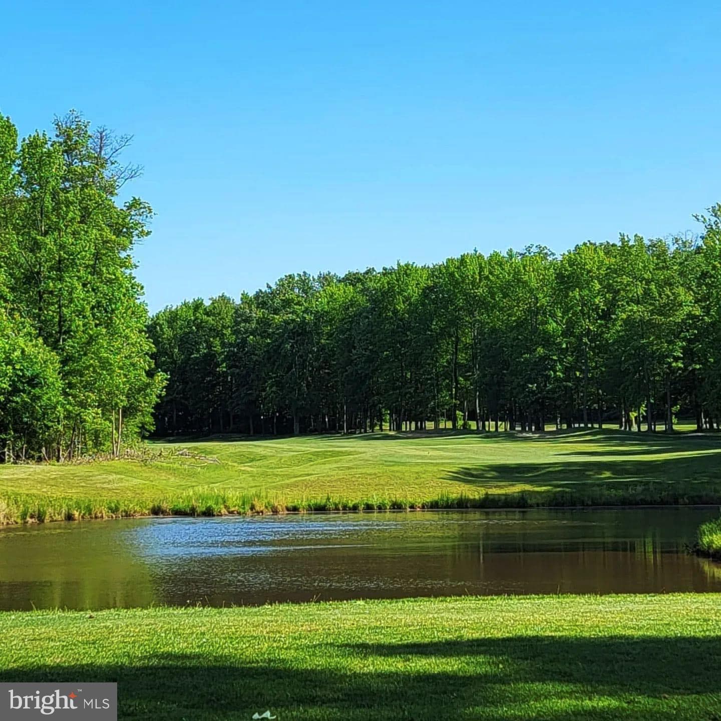 427 Patriots Way photo 25
