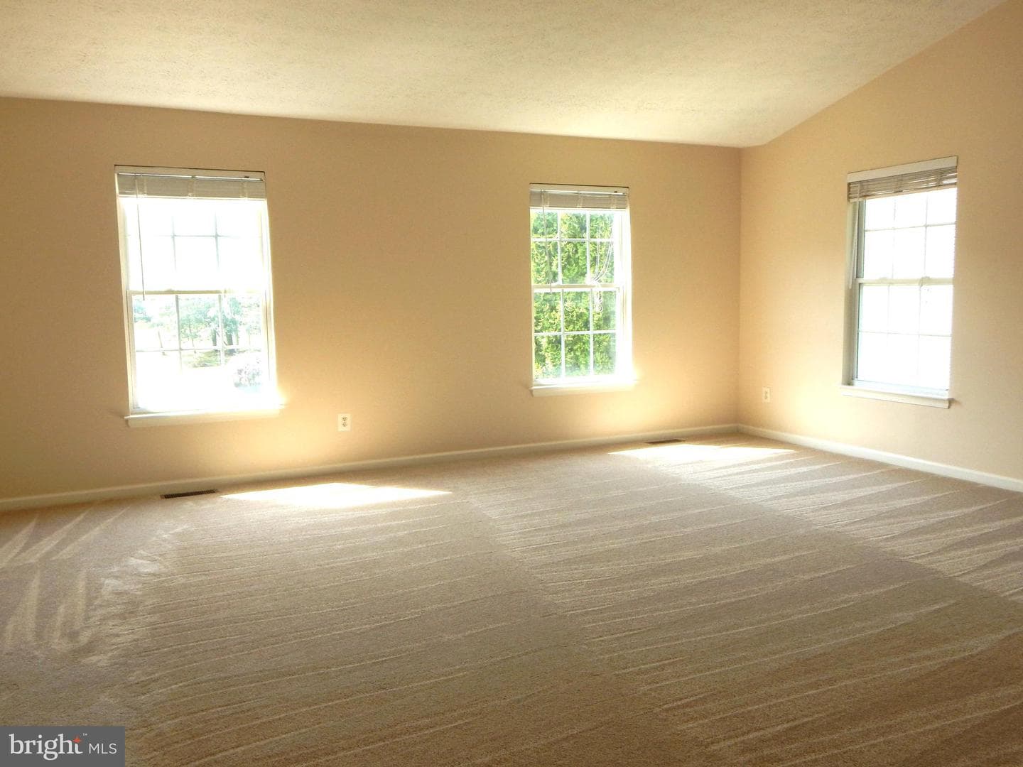 427 Patriots Way photo 29
