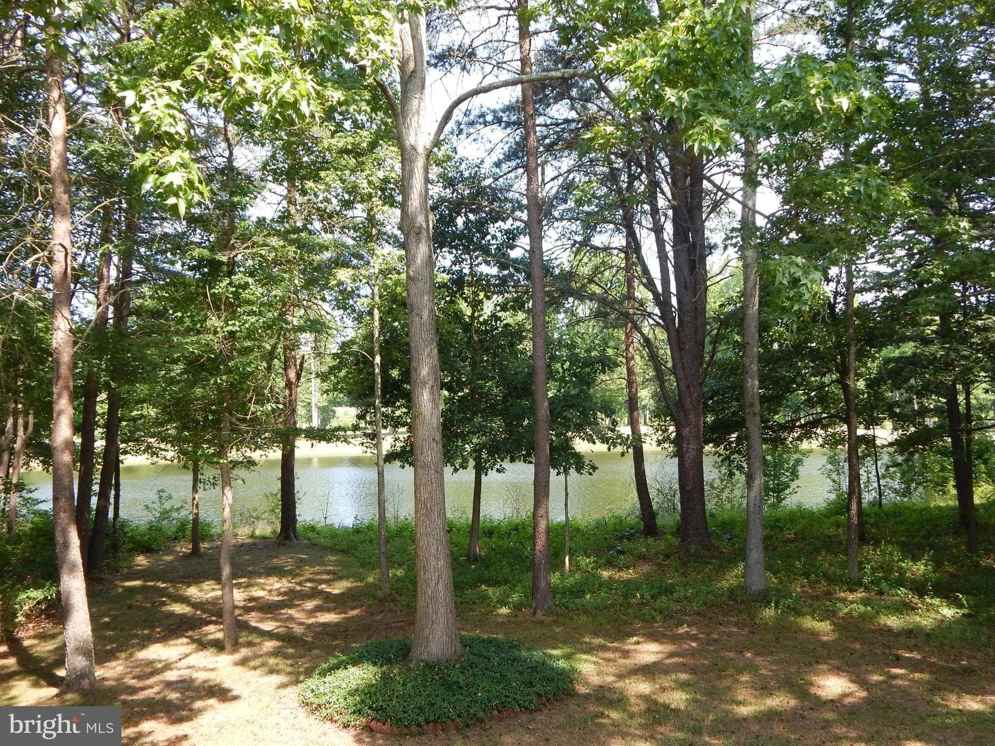427 Patriots Way photo 4