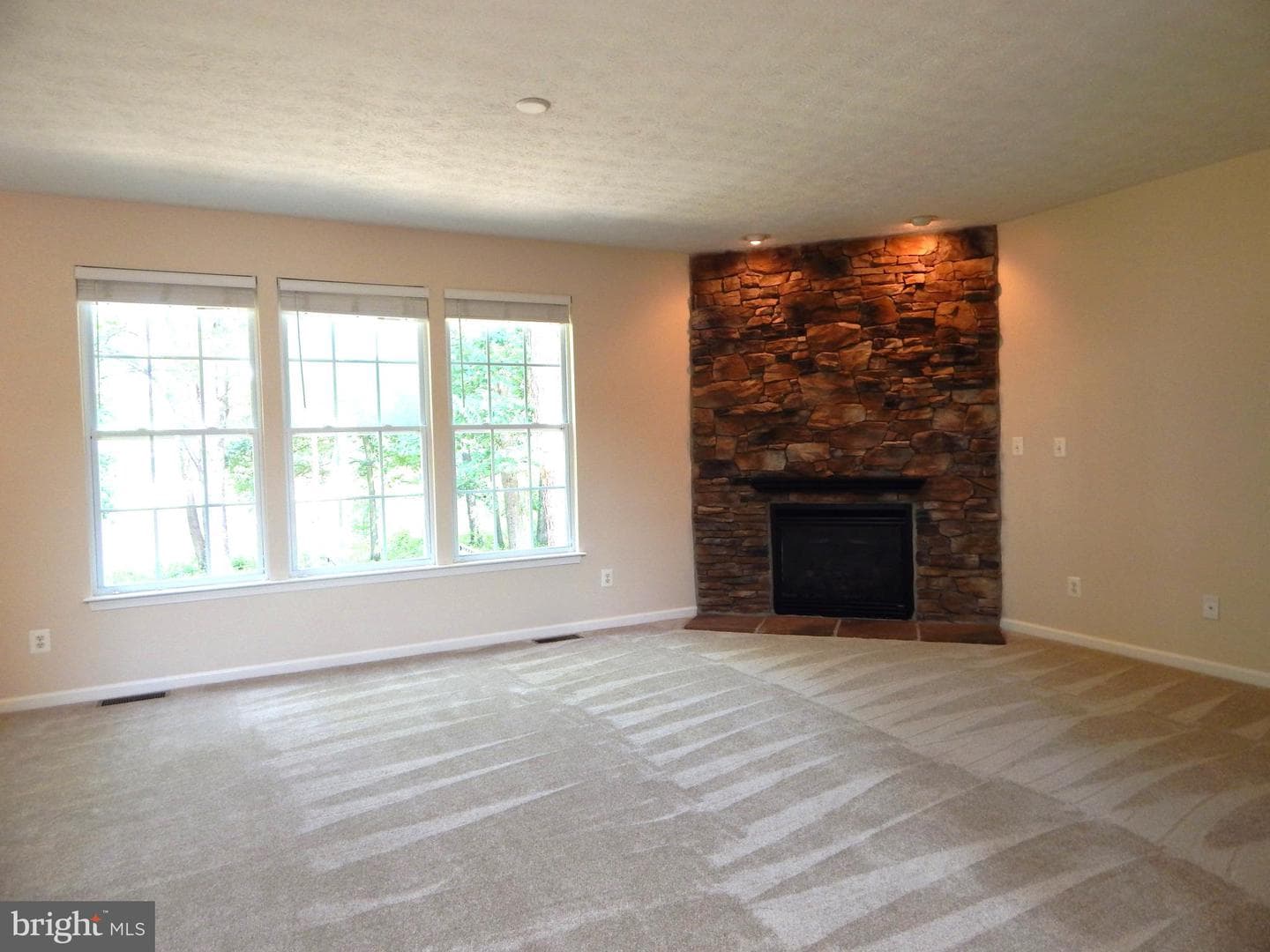 427 Patriots Way photo 41