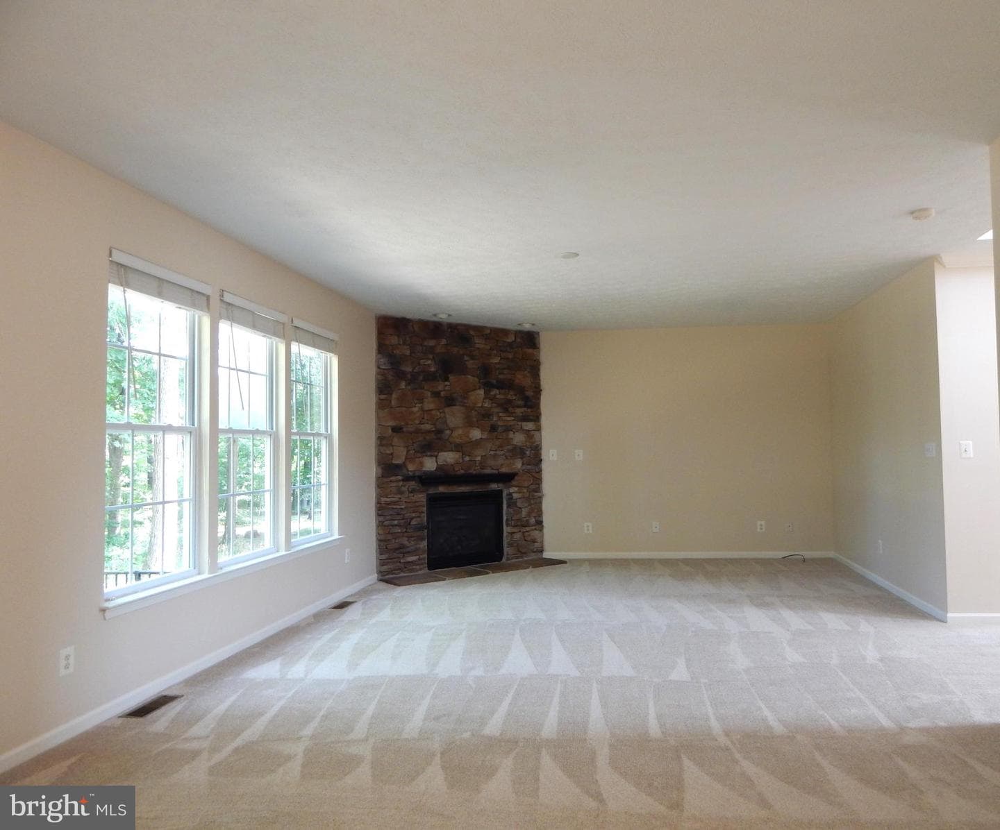 427 Patriots Way photo 42