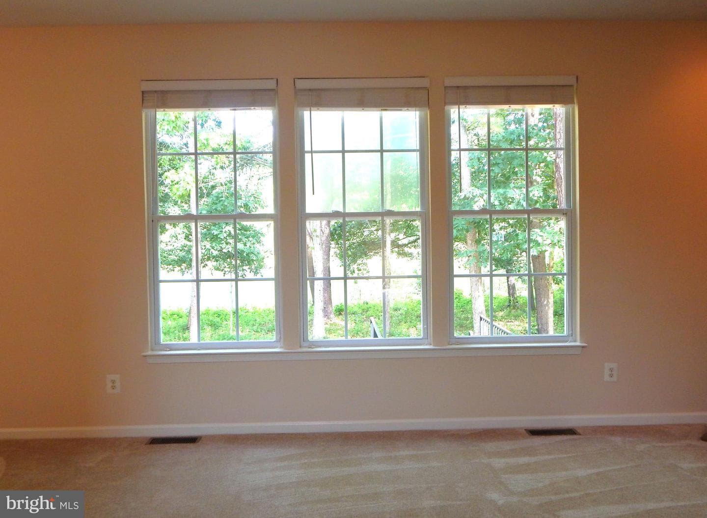 427 Patriots Way photo 43