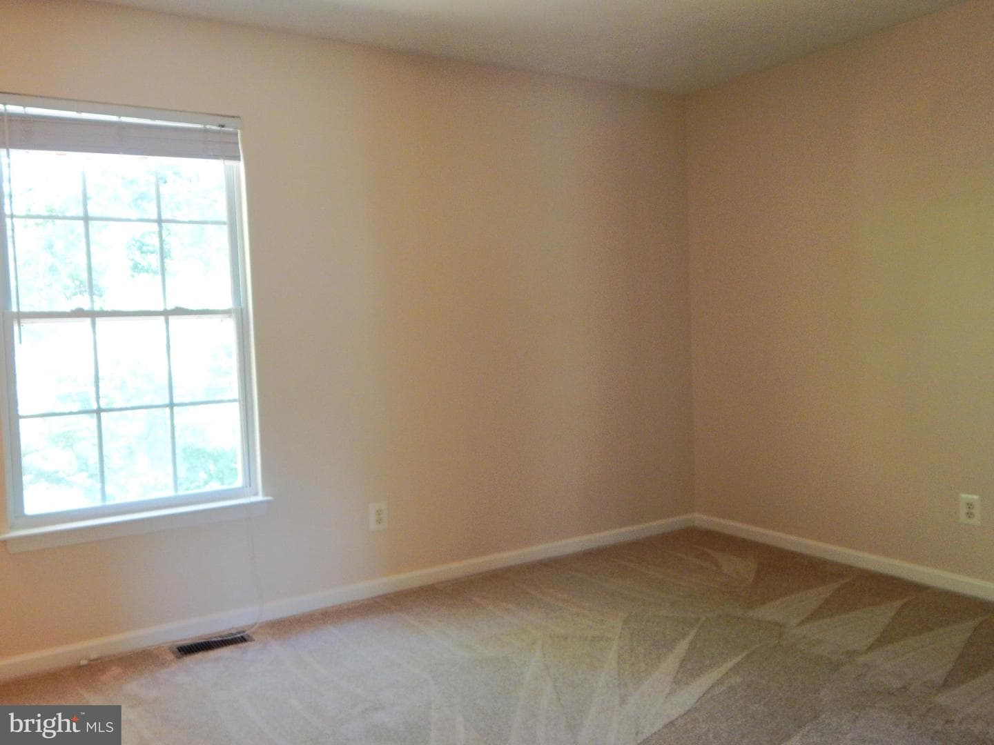 427 Patriots Way photo 48