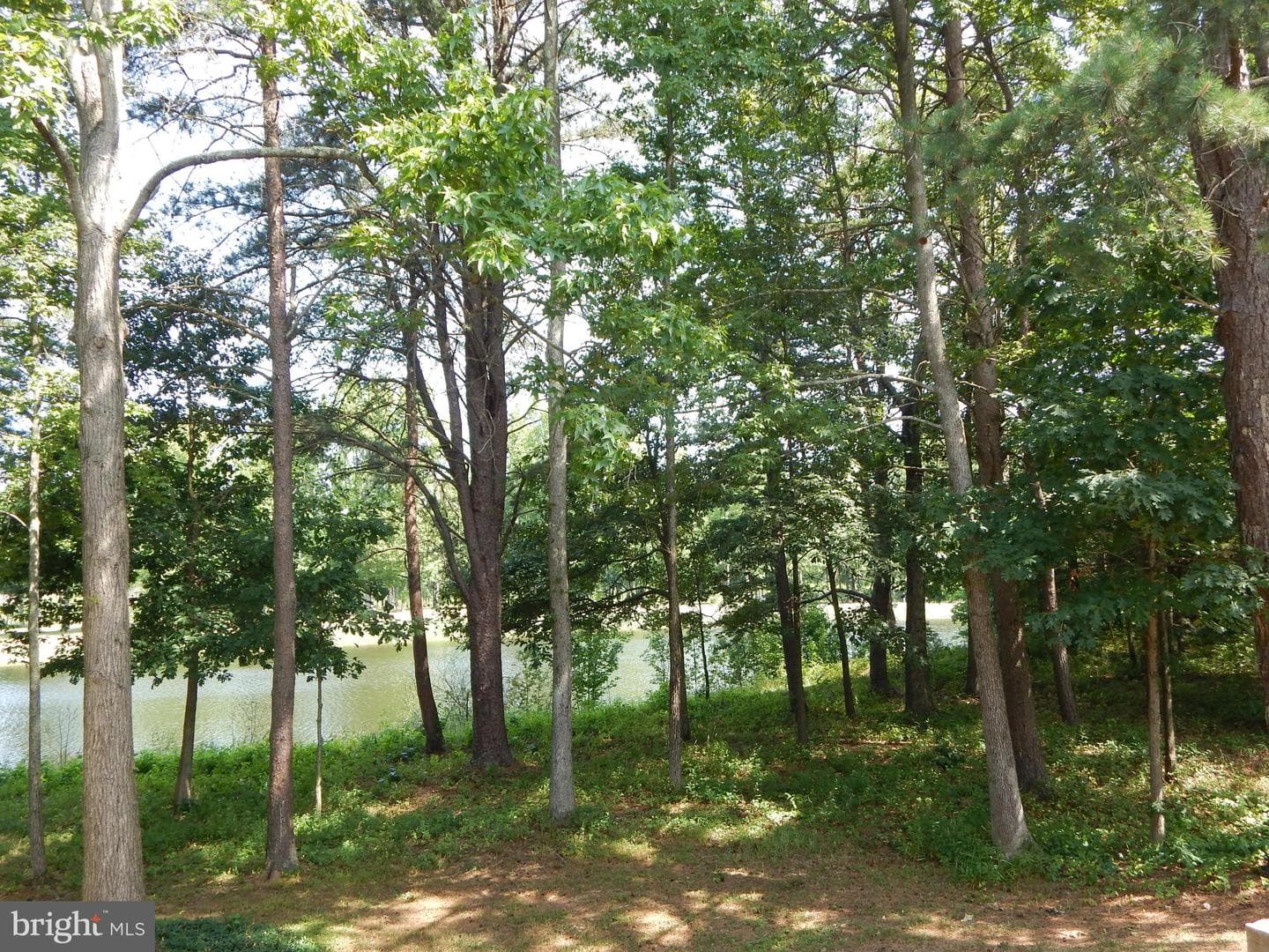 427 Patriots Way photo 5