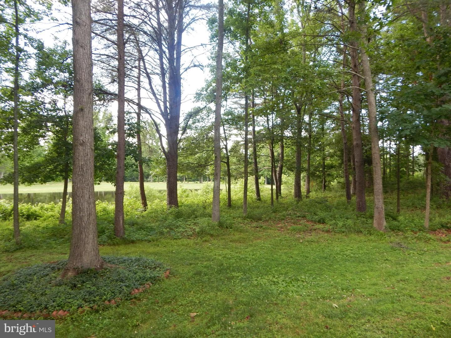 427 Patriots Way photo 6