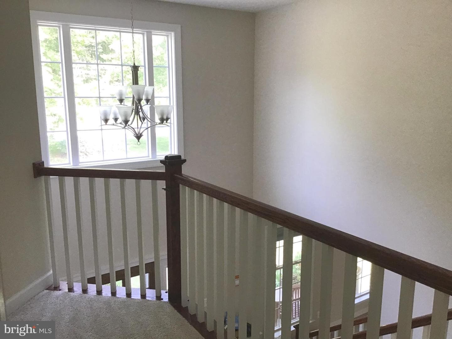 84 Finnegans Place photo 10