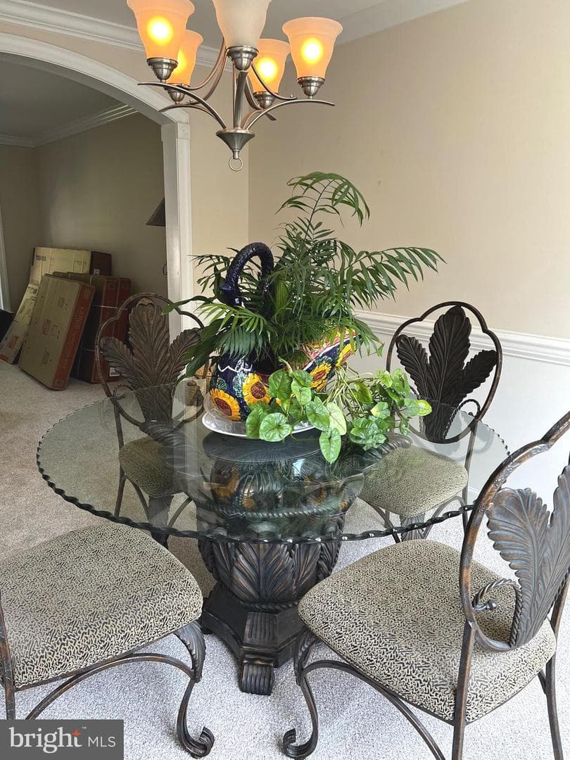 84 Finnegans Place photo 26