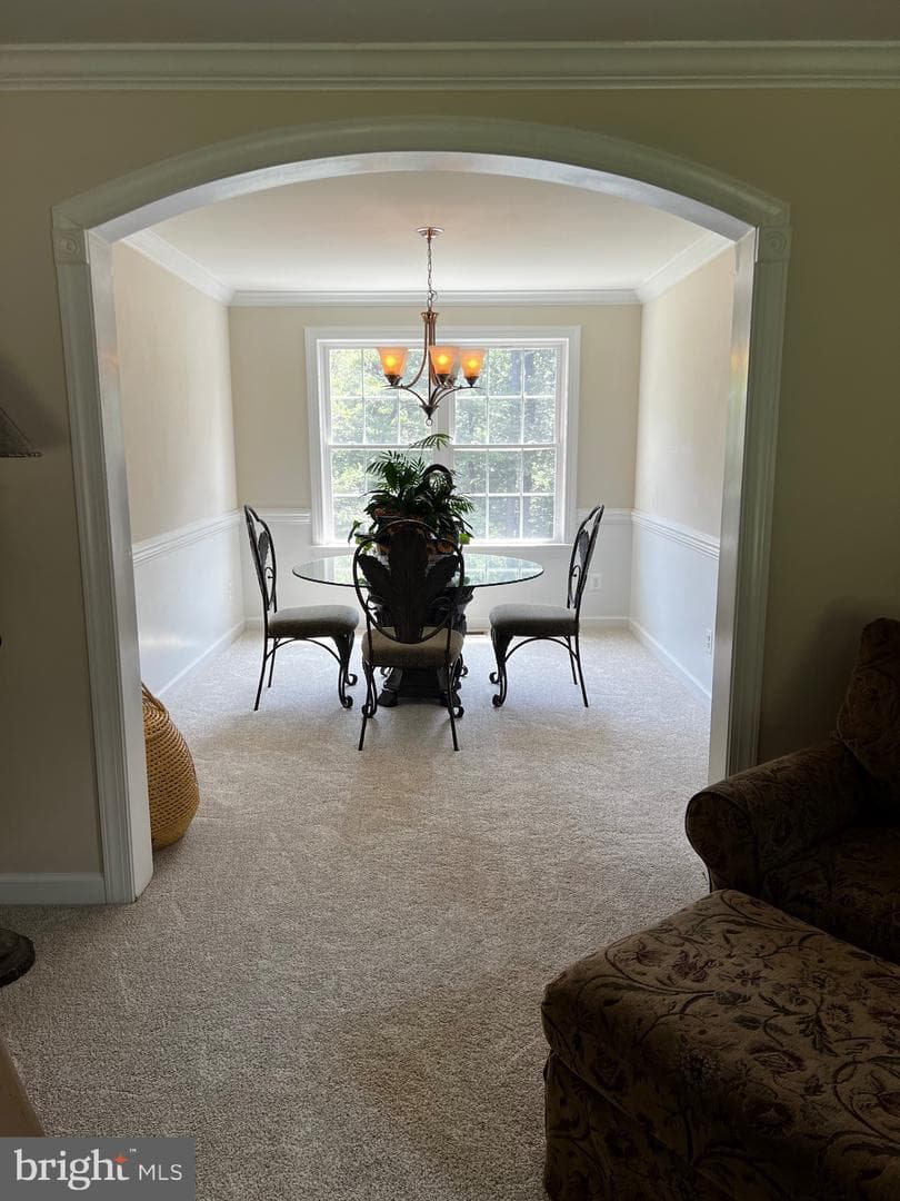 84 Finnegans Place photo 27