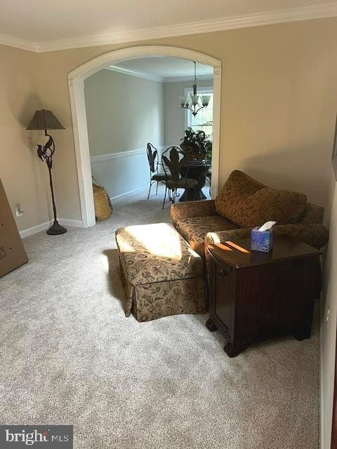 84 Finnegans Place photo 28