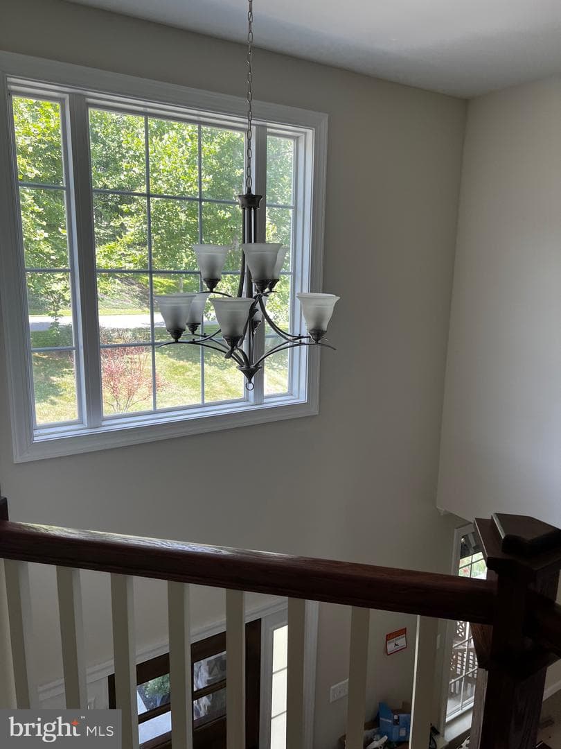 84 Finnegans Place photo 42