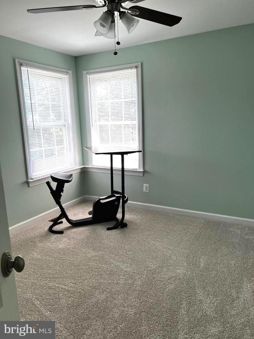 84 Finnegans Place photo 43