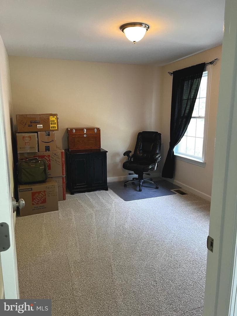 84 Finnegans Place photo 45