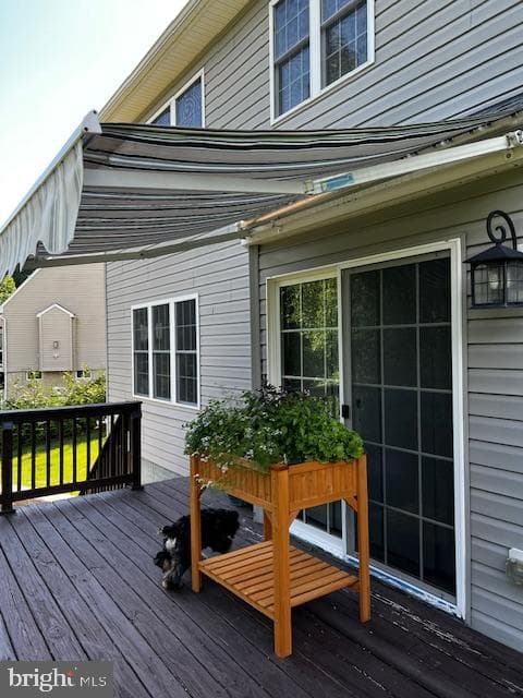 84 Finnegans Place photo 6