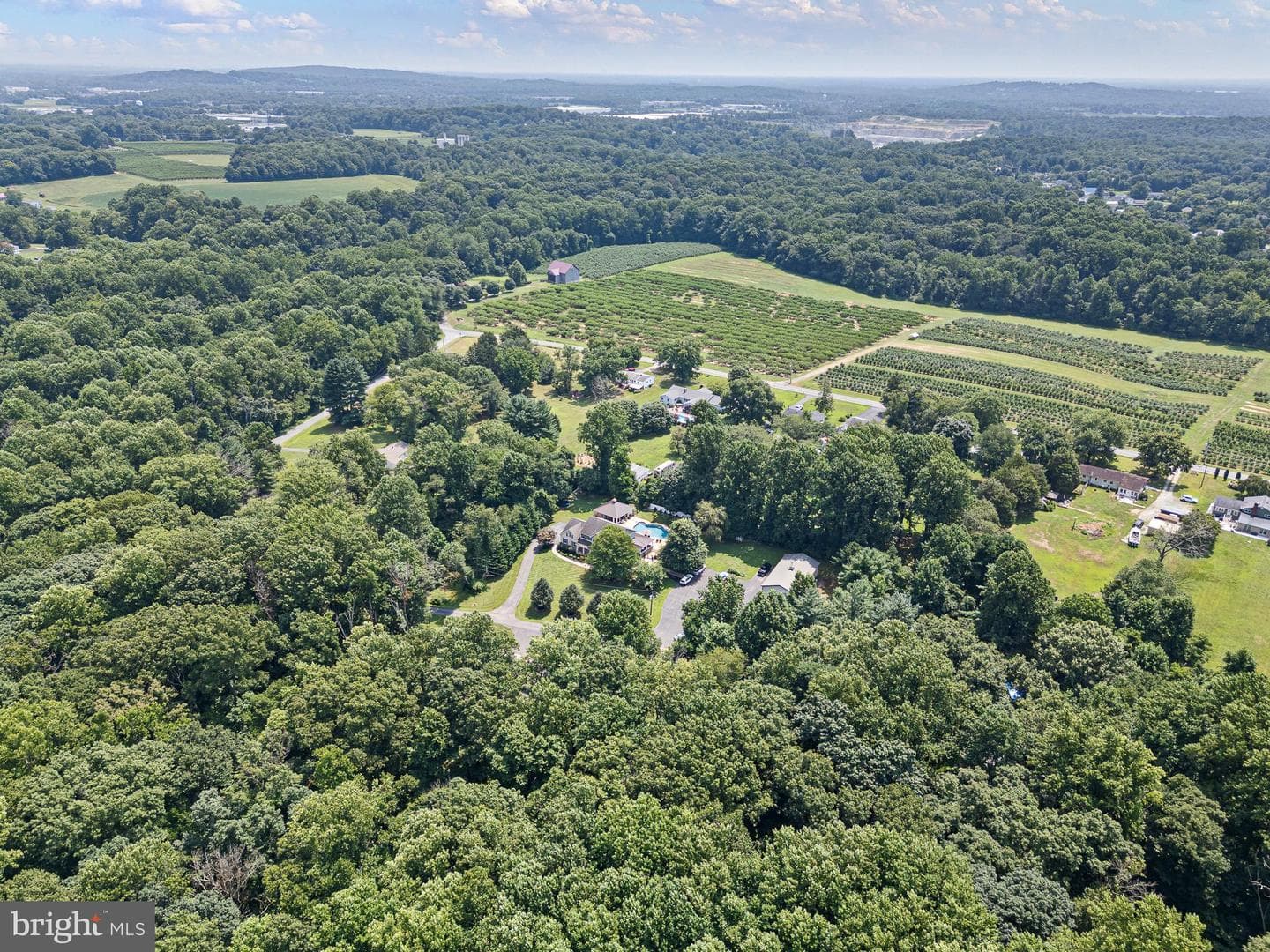 60 Barnett Drive photo 49
