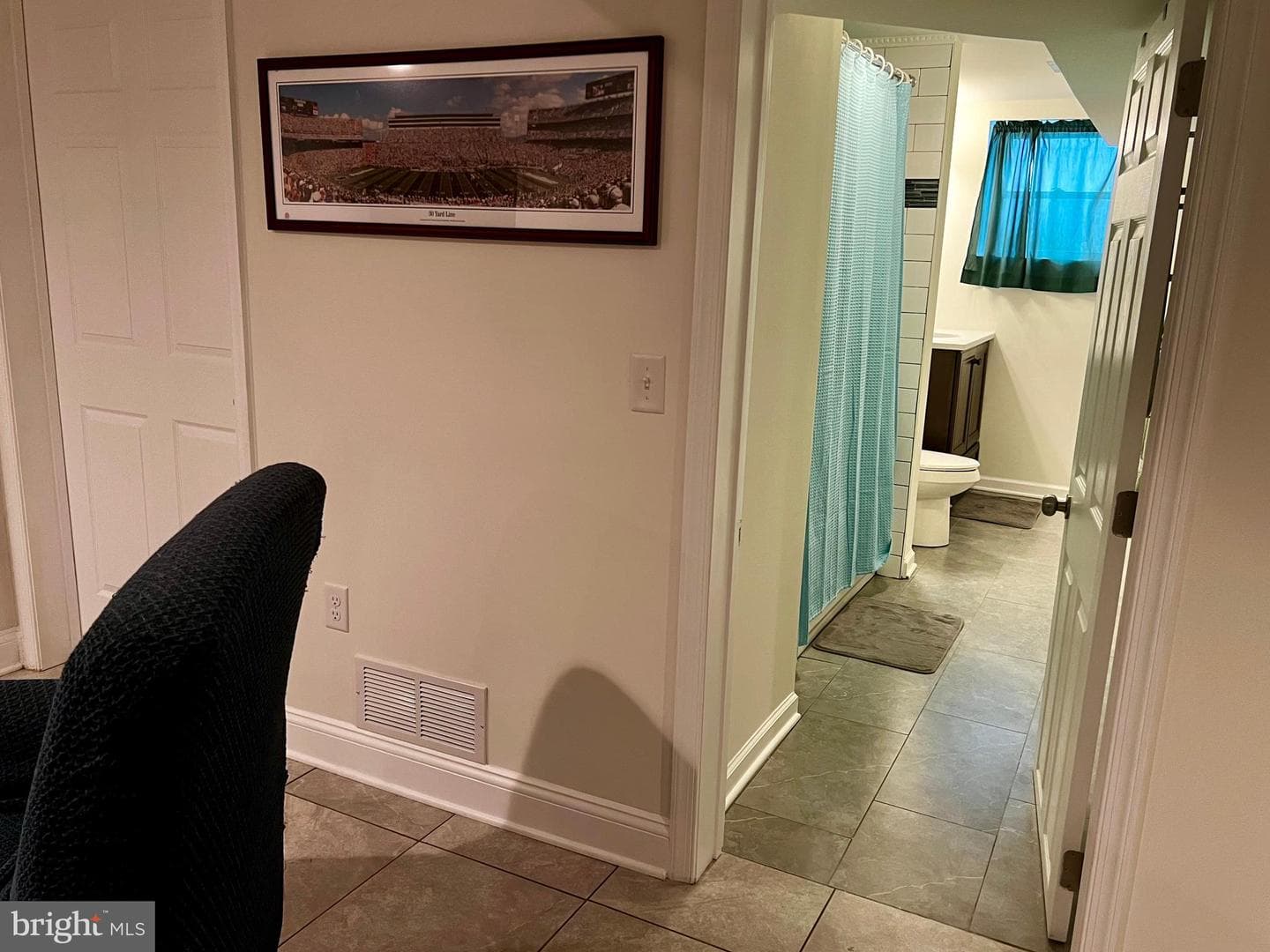 132 W Thomson Drive photo 53