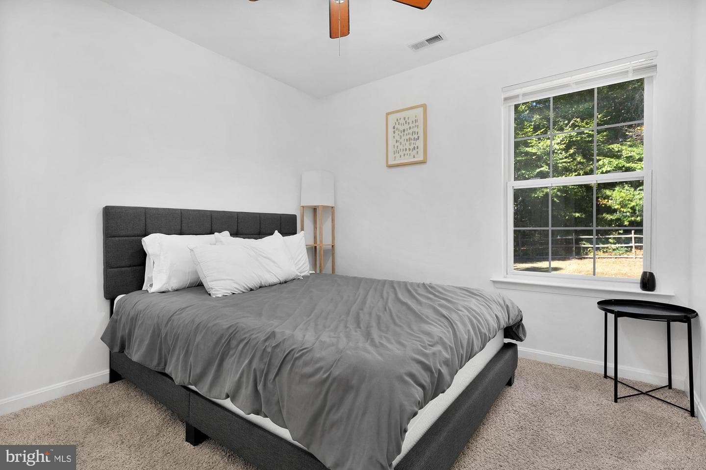 113 Continental Drive photo 17
