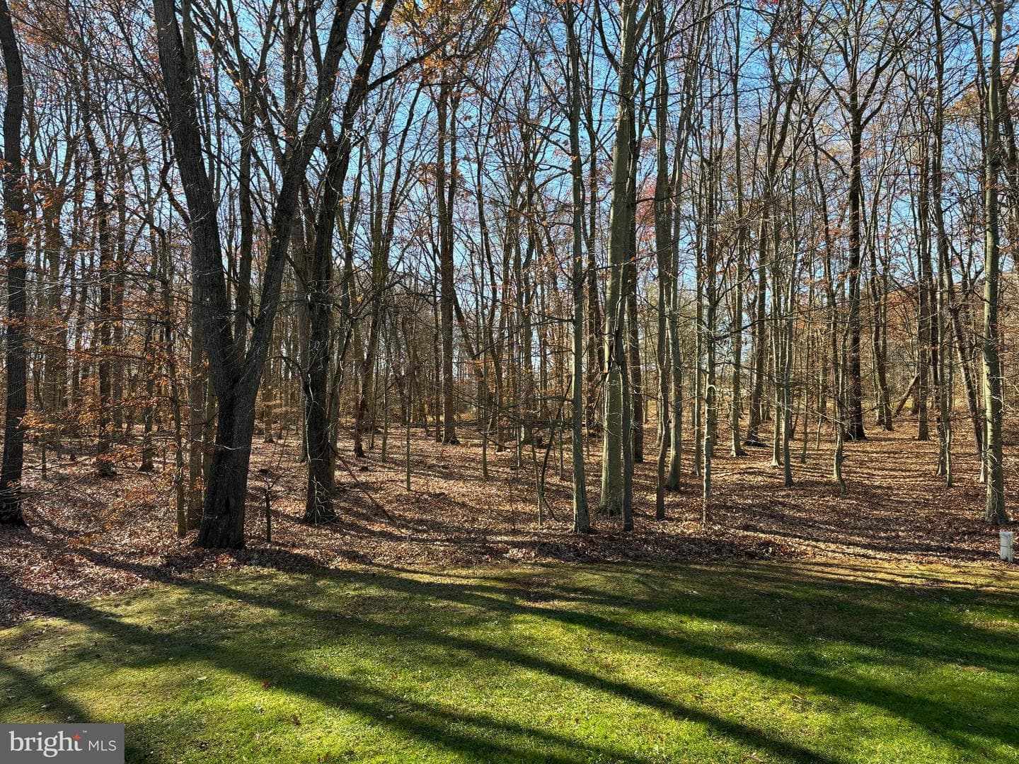 42 Meadow Drive photo 11