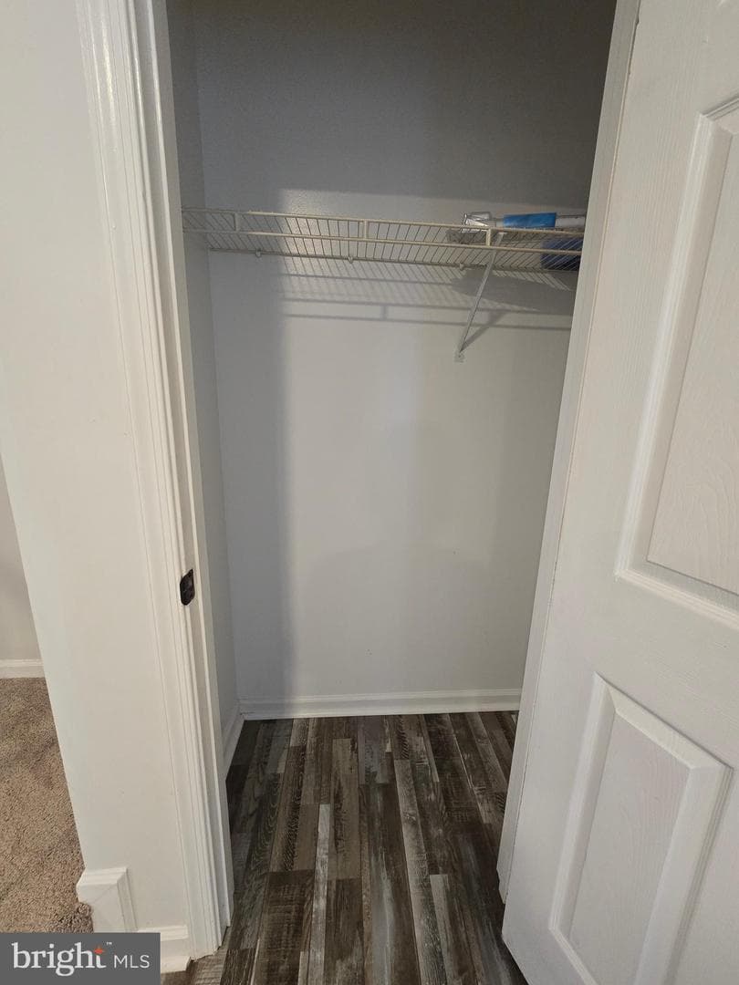56 Oxford Court photo 24